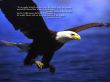 Details for the 'Deuteronomy 31:11-13' free image, background, wallpaper