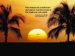 Details for the 'Proverbs 12:7' free image, background, wallpaper