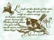 Details for the 'Matthew 6:26' free image, background, wallpaper