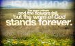 Details for the 'Isaiah 40:8' free image, background, wallpaper