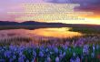 Details for the 'Psalms 20:1-7' free image, background, wallpaper