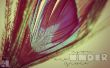 Details for the 'Under Grace' free image, background, wallpaper