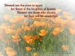 Details for the 'Matthew 5:3-4' free image, background, wallpaper