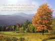 Details for the 'Colossians 3:12' free image, background, wallpaper