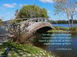 Details for the '1 Corinthians 9:19' free image, background, wallpaper