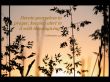 Details for the 'Colossians 4:2' free image, background, wallpaper