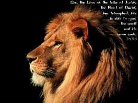 lion of tribe judah christian wallpaper, christian background