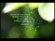 Details for the 'Hebrews 11:1' free image, background, wallpaper