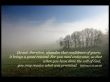 Details for the 'Hebrews 10:35-36' free image, background, wallpaper