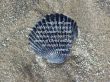 Details for the 'Mark 9:41' free image, background, wallpaper