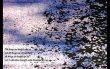 Details for the '1 Corinthians 6:12' free image, background, wallpaper