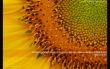 Details for the 'Hebrws 11:40' free image, background, wallpaper