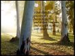 Details for the 'Micah 6:8' free image, background, wallpaper