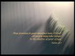 Details for the 'Psalms 36:7' free image, background, wallpaper