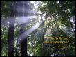 Details for the 'Romans 8:31' free image, background, wallpaper