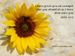Details for the 'John 13:15' free image, background, wallpaper