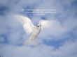 Details for the 'Psalm 33:5' free image, background, wallpaper