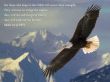 Details for the 'Isaiah 40:31' free image, background, wallpaper