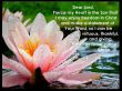 Details for the 'Prayer' free image, background, wallpaper