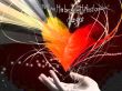 Details for the '1 John 4:9-10' free image, background, wallpaper