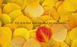 Details for the 'Luke 1:37' free image, background, wallpaper