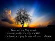Details for the 'Honour and Glory' free image, background, wallpaper