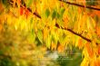 Details for the '2 Timothy 3:16-17' free image, background, wallpaper