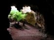 Details for the 'John 3:16' free image, background, wallpaper