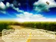 Details for the 'John 14:6' free image, background, wallpaper