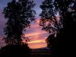 Details for the 'In the morning' free image, background, wallpaper