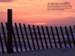 Details for the 'Numbers 6:24-26' free image, background, wallpaper