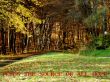 Details for the 'jeus the source of all hope' free image, background, wallpaper