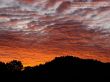 Details for the 'Psalms 8:3-4' free image, background, wallpaper