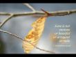 Details for the '1 Corinthians 13:4-5' free image, background, wallpaper