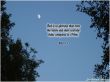 Details for the 'Job 25:5' free image, background, wallpaper