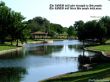 Details for the 'Psalms 29:11' free image, background, wallpaper