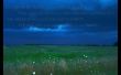 Details for the 'Psalm 104:1-3' free image, background, wallpaper