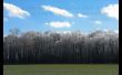 Details for the 'Psalm 118:14' free image, background, wallpaper
