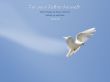 Details for the 'Matthew 6:8b' free image, background, wallpaper