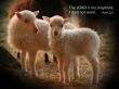 Details for the 'Psalm 23:1' free image, background, wallpaper