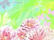 Details for the 'the season of singing' free image, background, wallpaper