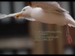 Details for the 'Psalm 27:1' free image, background, wallpaper