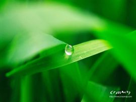 the earths richness christian wallpaper, christian background