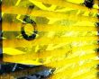 Details for the 'Number 6' free image, background, wallpaper