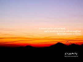 A bruised reed christian wallpaper, christian background