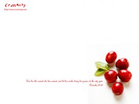 Proverbs 31:31 christian wallpaper, christian background