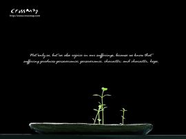 we also rejoice in our sufferings christian wallpaper, christian background
