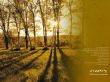 Details for the 'love must be sincere' free image, background, wallpaper