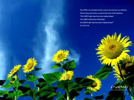 sout for joy christian wallpaper, christian background