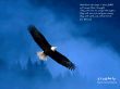 Details for the 'those who hope in the Lord' free image, background, wallpaper